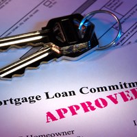 Портфолио Alexandra Smith